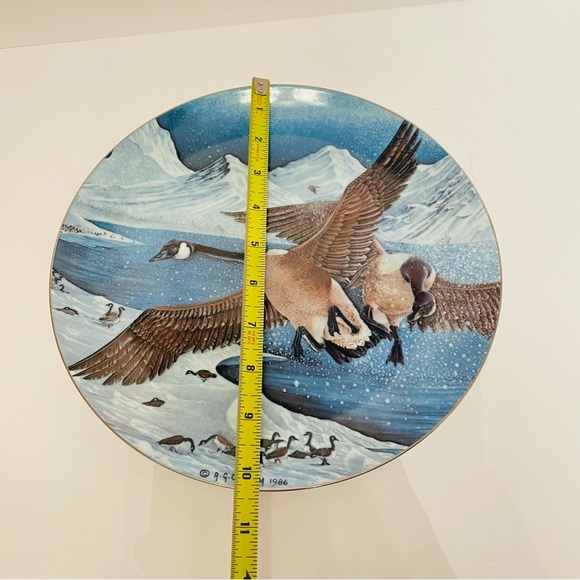 Rare Wall Plate Wild Life Geese Collector Plate Overflight - Picture 4 of 6